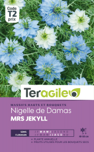 Nigelle de Damas Mrs Jekyll - Graines -Teragile