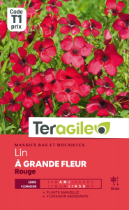 Lin à grande fleur rouge - Graines - Teragile