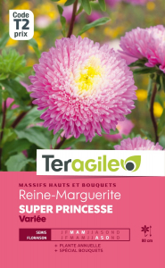 Reine-marguerite Super princesse - Graines - Teragile