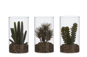 Plante succulente artificielle en pot en verre - 18cm