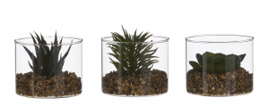 Plante succulente artificielle en pot en verre - 8cm