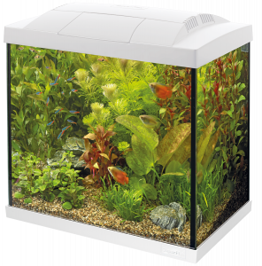 Aquarium en kit - Start 50 Tropical - Blanc