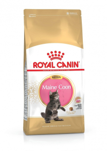 Croquettes Maine Coon Kitten pour chaton - Royal Canin - 10 kg