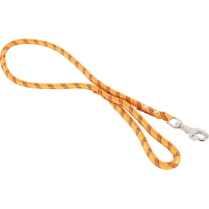 Laisse nylon Corde pour chien - Zolux - 1,2 m / 13 mm - Orange