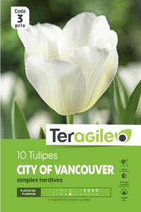Tulipe simple city of vancouver - Calibre 12/+ - X10