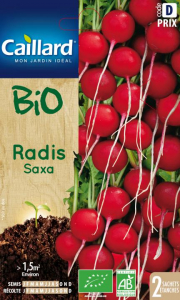 Radis Saxa Bio - Graines - Caillard