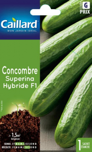 Concombre Superina Hf1 - Graines - Caillard