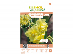 Narcisse pluriflore yellow cheerfulness12/14 x5