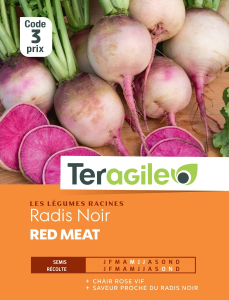 Radis red meat - Teragile