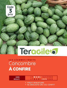 Concombre à confire - Teragile