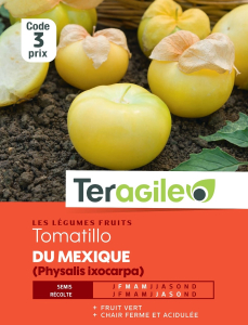 Tomatillo du Mexique (physalis ixocarpa)- TERAGILE