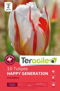 Tulipes Happy Generation x 10 12/+ Teragile