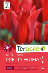 Tulipes Pretty Woman x 10 12/+ Teragile