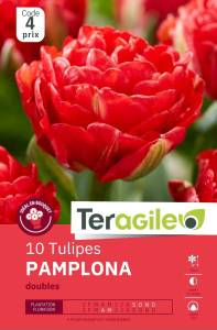 Tulipes Pamplona  x 10 12/+ Teragile