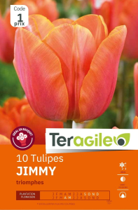 Tulipes Jimmy  x 10 12/+ Teragile