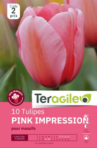 Tulipes Pink Imression x 10 12/+ Teragile