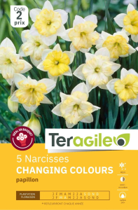 Narcisses Changing Colours x 5 14/+ Teragile