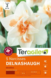 Narcisses Delnashaugh  x 5 14/+ Teragile