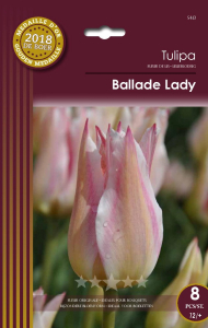 Tulipes Ballade Lady X8 12/+