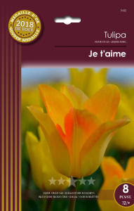 Tulipes Je T'Aime X8 12/+