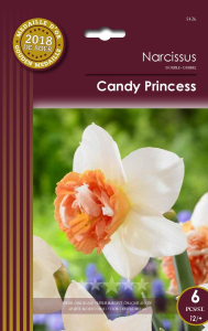 Narcisses Candy Princess  X6 12/+