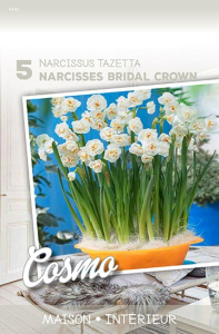 Narcisses Bridal Crown  X5 14/+