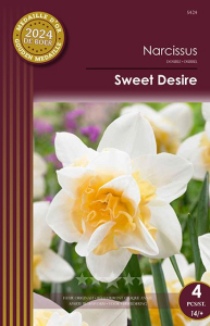 Narcisses Sweet Desire  X4 12/+