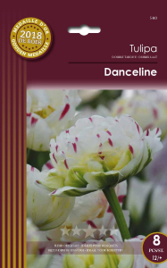 Tulipes Danceline X8 12/+