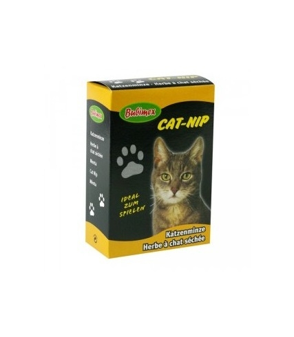 Herbe à chat, Chataire 'Kit Kat' - Nepeta faassenii - Le Jardin du Pic Vert