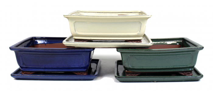 Pot basic classic rectangle - 15 cm avec plateau Mistral Bonsai