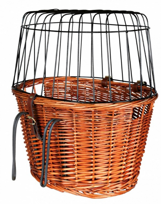 Friends on cheap tour bicycle basket