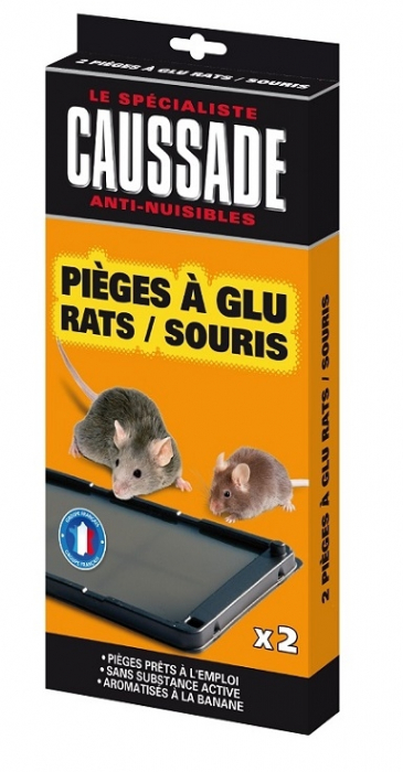 Piège à glue rat et souris Caussade (x 2)
