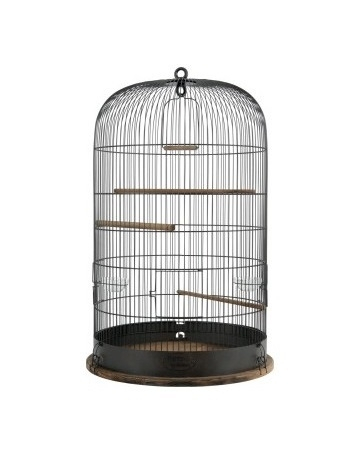 Cage rétro Marthe pour oiseaux - Zolux - L 48 x p 48 x h 74 cm Zolux