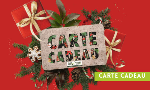 carte cadeau noel