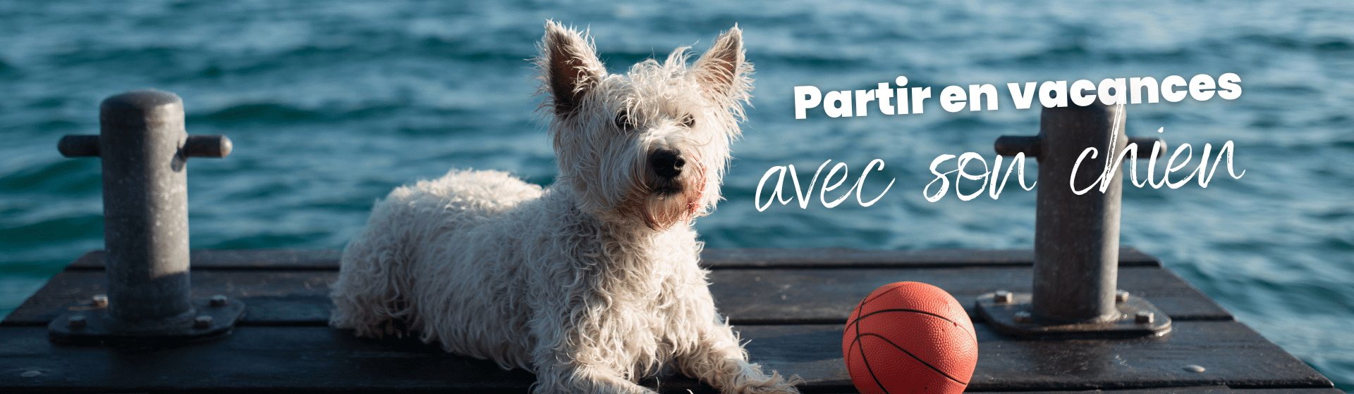 partir en vacances été avec son animal