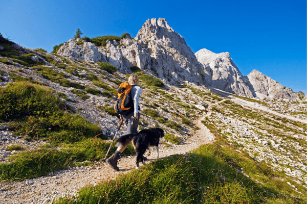 faire de la randonnée avec son chien