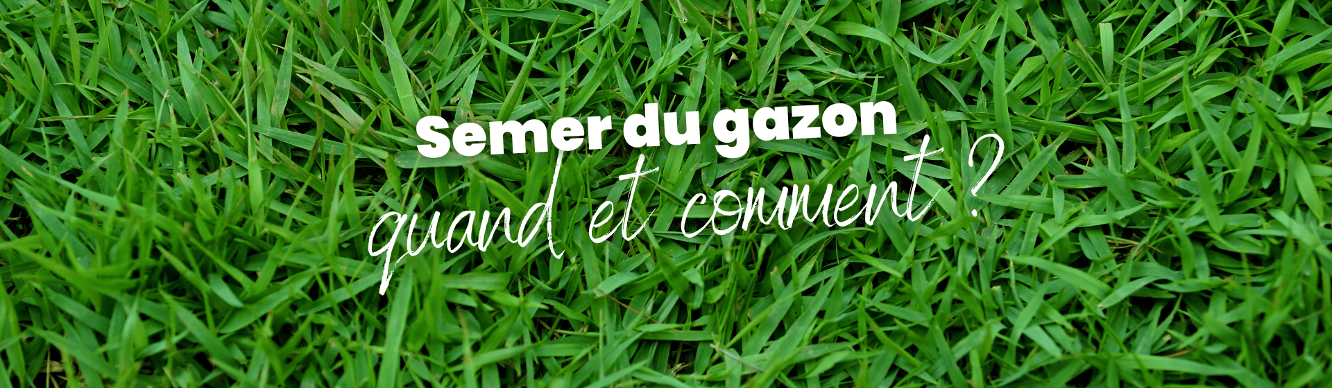 semer du gazon : comment faire