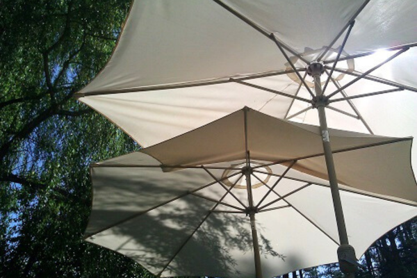 parasols